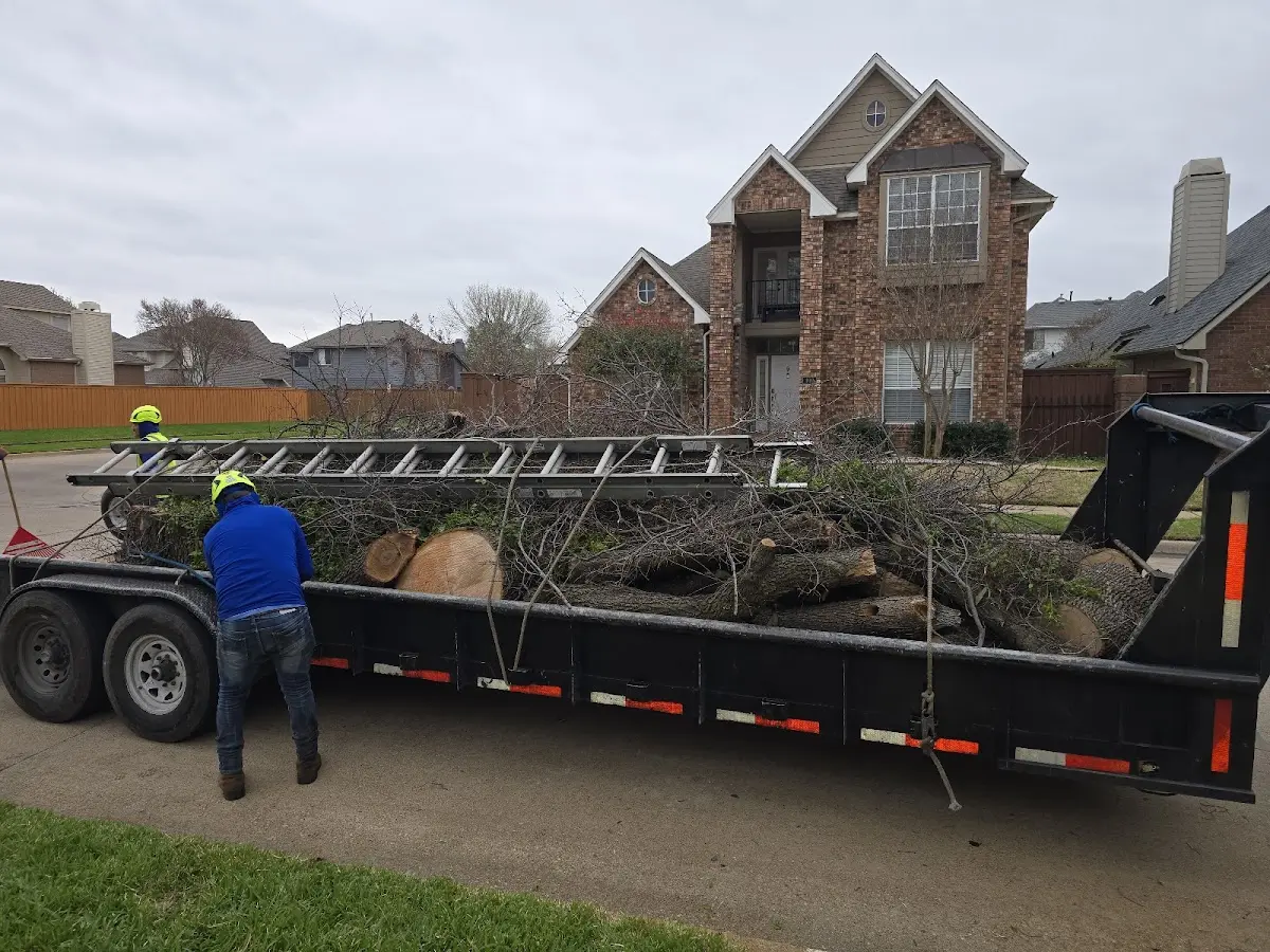 Expert Tree Pest Control with proper safety equipment in Neptune Beach
